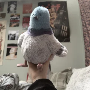 Strutton Pigeon 🇺🇸 Jellycat photo