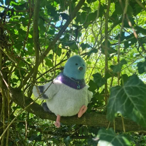 Strutton Pigeon 🇺🇸 Jellycat | Jelly Journal