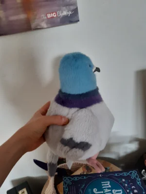 Strutton Pigeon 🇺🇸 Jellycat photo uploaded by HenryZ