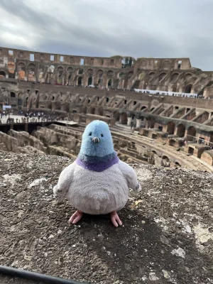 Strutton Pigeon 🇺🇸 Jellycat photo