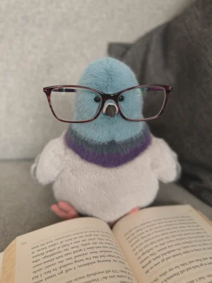 Strutton Pigeon 🇺🇸 Jellycat photo