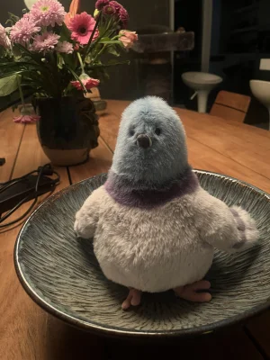 Strutton Pigeon 🇺🇸 Jellycat photo uploaded by monki123