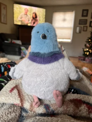 Strutton Pigeon 🇺🇸 Jellycat photo