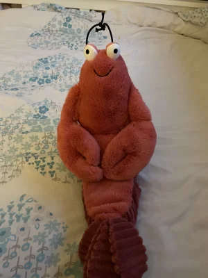A photo of Larry Lobster - Medium Jellycat taken by jelly_cat_jess