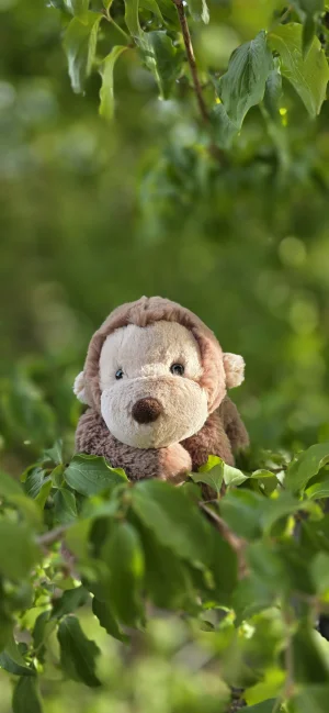 A photo of Smudge Monkey - Medium Jellycat taken by J4jellycats