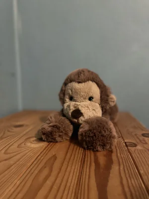 Smudge Monkey - Medium Jellycat photo