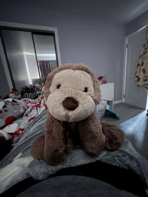 Smudge Monkey - Medium Jellycat photo