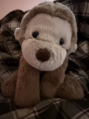 Smudge Monkey - Medium Jellycat photo uploaded by catycake
