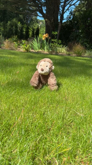 A photo of Smudge Monkey - Medium Jellycat taken by Sophchaoscrazes