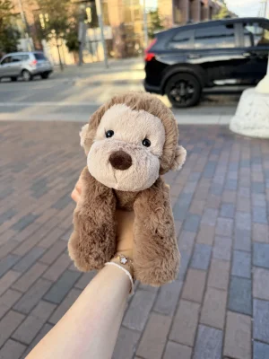 A photo of Smudge Monkey - Medium Jellycat taken by kattyg