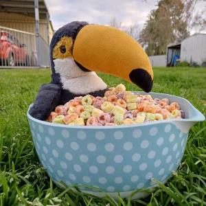 A photo of Bashful Toucan Jellycat taken by herbgardenplush