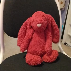 Bashful Rose Bunny - Medium Jellycat | Jelly Journal