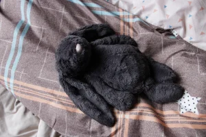 Lifestyle photo of Bashful Treacle Bunny - Medium uploaded by Jellycat_Nina
