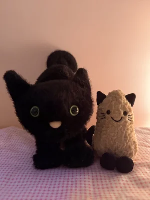 Spookipaws Cat Jellycat photo