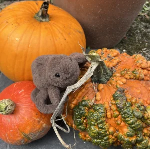 Ooky Spider Jellycat photo