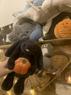 Bashful Pumpkin Bunny Jellycat photo