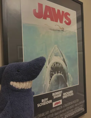Toothy Shark - Medium Jellycat photo uploaded by kaleighsjellies