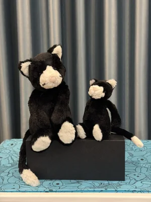 A photo of Bashful Black & White Kitten - Small Jellycat taken by BunnyBPatt