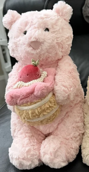 A photo of Leola Bear with Strawberry Cake Jellycat taken by Kelseyamba