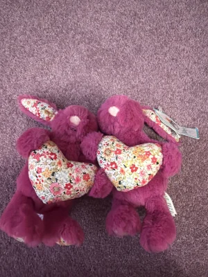 新品 Blossom Heart Bunny Rose Tulip Pink Blossom Heart Tulip Bunny