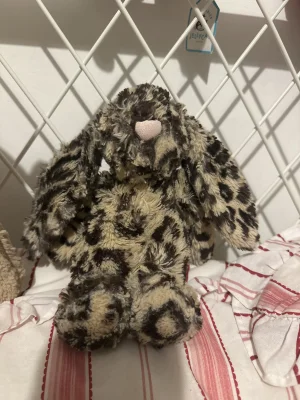 A photo of Bashful Dixie Bunny Jellycat taken by Charbushhh