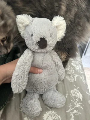 A photo of Original Bashful Koala - Medium Jellycat taken by averyd2003