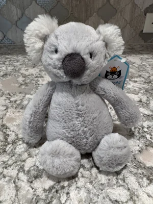 A photo of Original Bashful Koala - Small Jellycat taken by SnowLeopard821