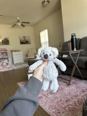 A photo of Original Bashful Koala - Small Jellycat taken by JodysJellies