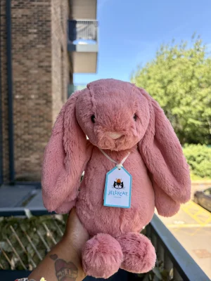Bashful Sorrel Bunny - Medium Jellycat photo uploaded by Seni113