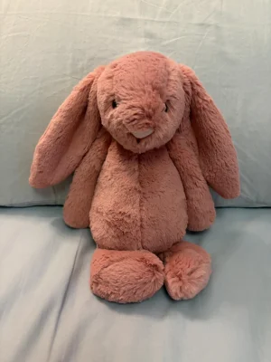 Bashful Sorrel Bunny - Medium Jellycat photo