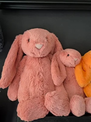 Bashful Sorrel Bunny - Medium Jellycat photo