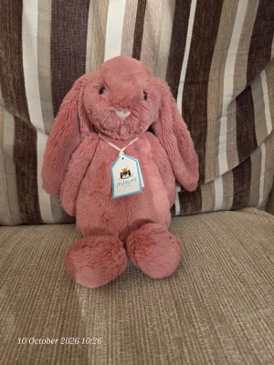 Bashful Sorrel Bunny - Medium Jellycat photo uploaded by SJCLJelly