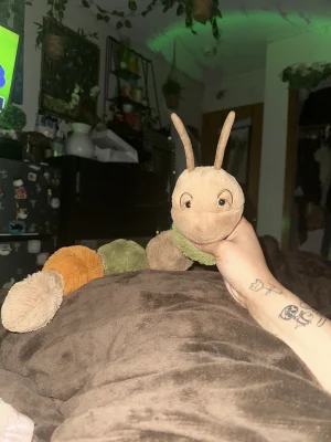 A photo of Figgy Caterpillar Jellycat taken by Lailaadamu_22