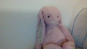 Blossom Tulip Pink Bunny - Medium Jellycat photo