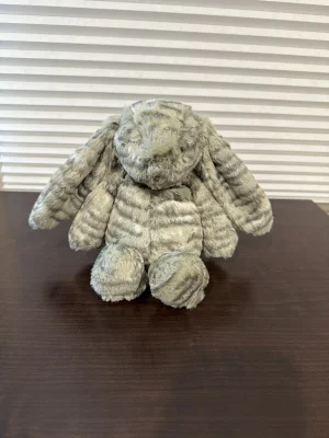 A photo of Bashful Ollie Bunny Jellycat taken by Bunnylove