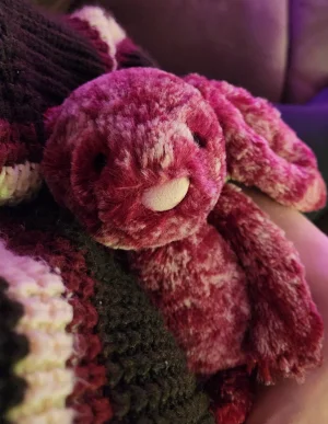 Blackberry Bashful Bunny Jellycat photo uploaded by emilliebee