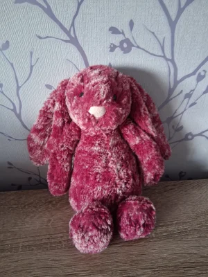 Blackberry Bashful Bunny Jellycat photo uploaded by Hope_Collectablez