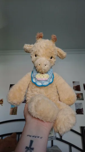 Rolie Polie Giraffe Jellycat photo uploaded by herbgardenplush