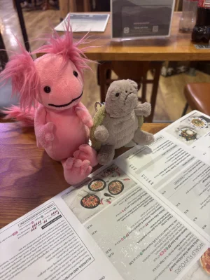 Timmy Turtle Bag Charm Jellycat photo