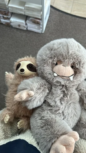 Selma Sloth Jellycat photo