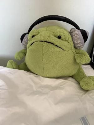 Ricky Rain Frog Headphones Jellycat photo
