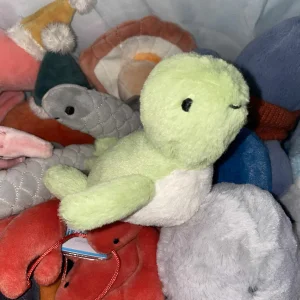 Fluffy Turtle Jellycat photo uploaded by Tiff