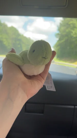 Fluffy Turtle Jellycat photo uploaded by mayasjellycats133