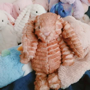 Bashful Luxe Bunny Juniper Jellycat | Jelly Journal