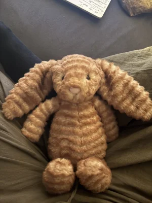 Bashful Luxe Bunny Juniper Jellycat photo uploaded by monki123
