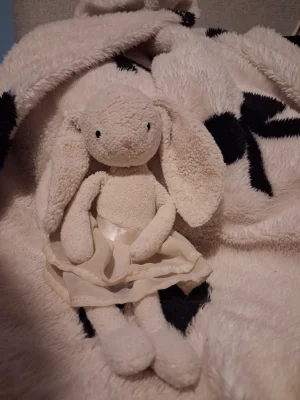 A photo of Arabesque Bunny Cream Jellycat taken by Lilyxxj