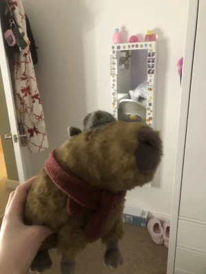 Clyde Capybara Hipster Jellycat | Jelly Journal