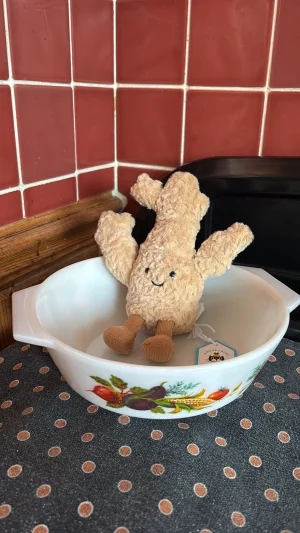 Amuseables Ginger Jellycat photo