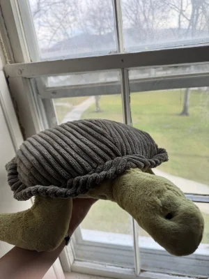 A photo of Terence Sea Turtle - Medium Jellycat taken by katsjellies