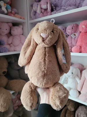 Bashful Biscuit Bunny - Medium Jellycat | Jelly Journal